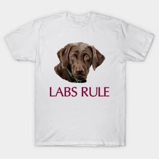 Chocolate Labs Rule T-Shirt
